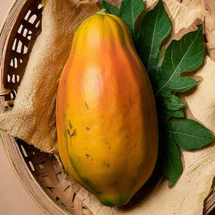 papaya